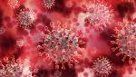 Six Indians test positive for UK’s mutated COVID-19 strain Six Indians test positive for UK’s mutated COVID-19 strain