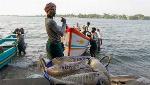 Fishermen issue needs to be handled in humanitarian manner: MEA Fishermen issue needs to be handled in humanitarian manner: MEA