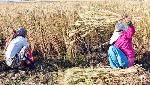 Agriculture in Budget 2021-22: From infrastructure to marketing and property ownership Agriculture in Budget 2021-22: From infrastructure to marketing and property ownership