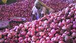 ‘Budget 2021 has kept farmers well-being at the center’: Consumer markets head at KPMG ‘Budget 2021 has kept farmers well-being at the center’: Consumer markets head at KPMG