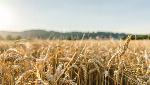 'Don't be on the wrong side of history': 20 ex-IFS officers back farm laws in open letter to WTO 'Don't be on the wrong side of history': 20 ex-IFS officers back farm laws in open letter to WTO