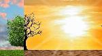 Vulnerability of states, districts mapped for appropriate climate action Vulnerability of states, districts mapped for appropriate climate action