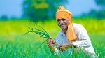 Over 95 million farmers to benefit from 8th instalment of PM-KISAN scheme Over 95 million farmers to benefit from 8th instalment of PM-KISAN scheme