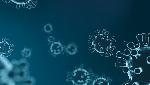 COVID-19 variants first detected in India to be called 'Delta' and 'Kappa', says WHO COVID-19 variants first detected in India to be called 'Delta' and 'Kappa', says WHO