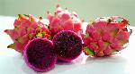 Dragon fruit from Gujarat, West Bengal exported to UK and Bahrain Dragon fruit from Gujarat, West Bengal exported to UK and Bahrain