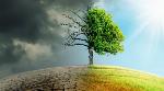 India welcomes IPCC’s climate science report India welcomes IPCC’s climate science report