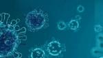 Indian scientists partner with BRICS consortium to study overlap of SARS-CoV-2 with TB Indian scientists partner with BRICS consortium to study overlap of SARS-CoV-2 with TB