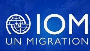 ‘Prepared to play a role in building consensus on migration and mobility’: India at Geneva meet ‘Prepared to play a role in building consensus on migration and mobility’: India at Geneva meet
