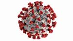 Covid-19 Update: Vaccination coverage in India exceeds 119.38 Cr Covid-19 Update: Vaccination coverage in India exceeds 119.38 Cr